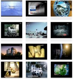 杭州風林文化傳媒 專業媒體推廣，賦能品牌新聲量