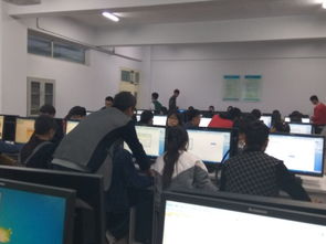 計算機(jī)與信息工程學(xué)院成功舉辦辦公技能與計算機(jī)技術(shù)專項(xiàng)培訓(xùn)